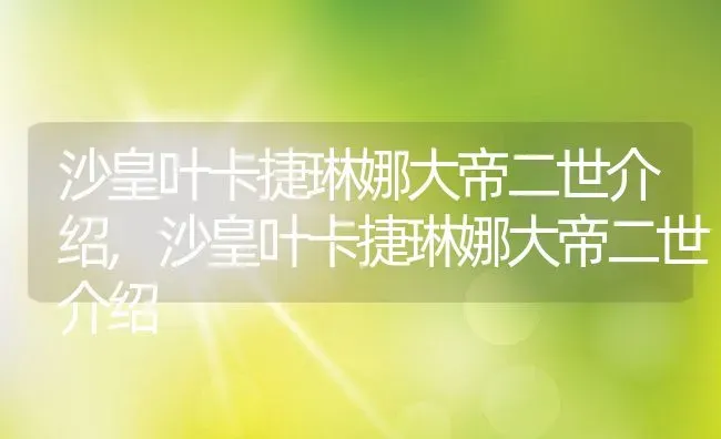 沙皇叶卡捷琳娜大帝二世介绍,沙皇叶卡捷琳娜大帝二世介绍 | 养殖科普