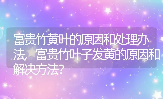 富贵竹黄叶的原因和处理办法,富贵竹叶子发黄的原因和解决方法？ | 养殖科普