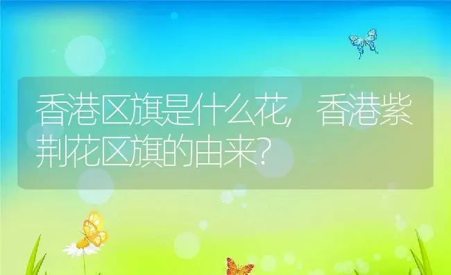 香港区旗是什么花,香港紫荆花区旗的由来？ | 养殖科普