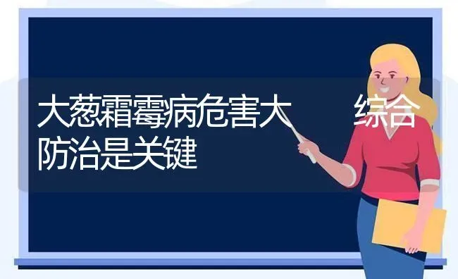 大葱霜霉病危害大  综合防治是关键 | 养殖知识