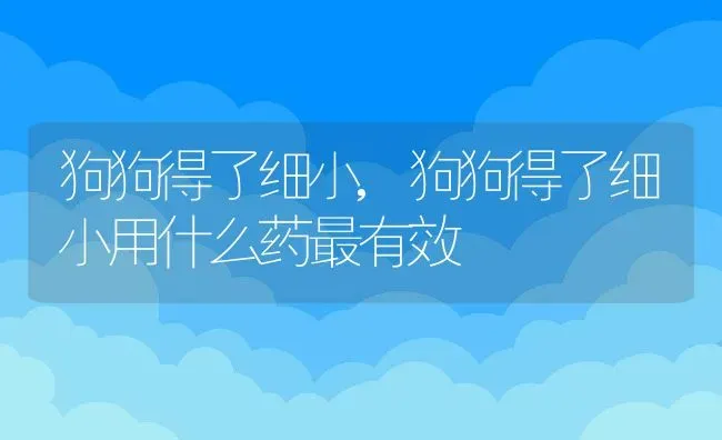 狗狗得了细小,狗狗得了细小用什么药最有效 | 养殖资料