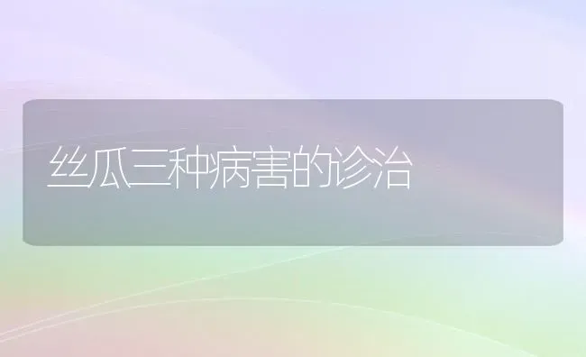 丝瓜三种病害的诊治 | 养殖知识