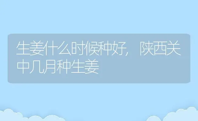 生姜什么时候种好,陕西关中几月种生姜 | 养殖学堂