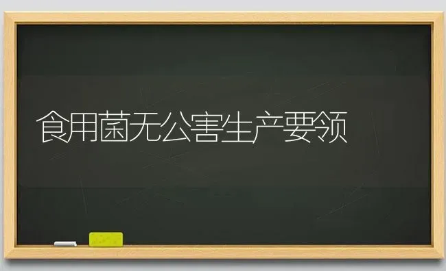 食用菌无公害生产要领 | 养殖技术大全