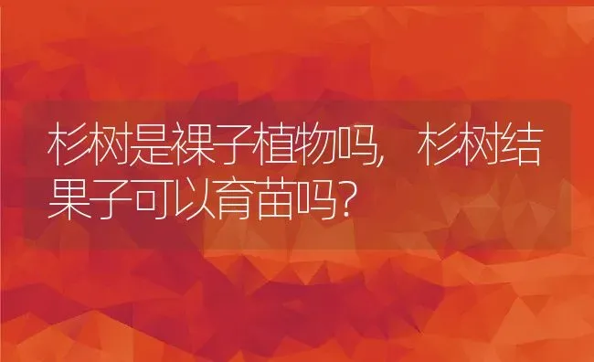杉树是裸子植物吗,杉树结果子可以育苗吗？ | 养殖科普