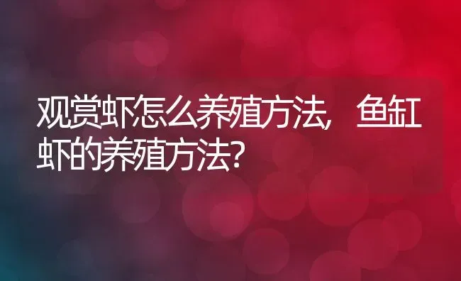 观赏虾怎么养殖方法,鱼缸虾的养殖方法？ | 养殖科普