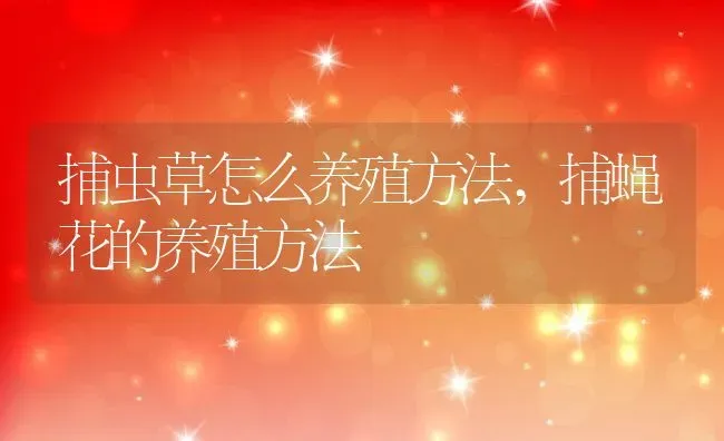 捕虫草怎么养殖方法,捕蝇花的养殖方法 | 养殖学堂