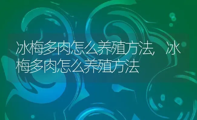 冰梅多肉怎么养殖方法,冰梅多肉怎么养殖方法 | 养殖学堂