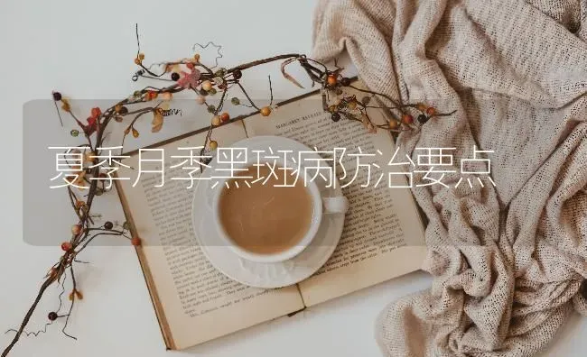 夏季月季黑斑病防治要点 | 养殖知识