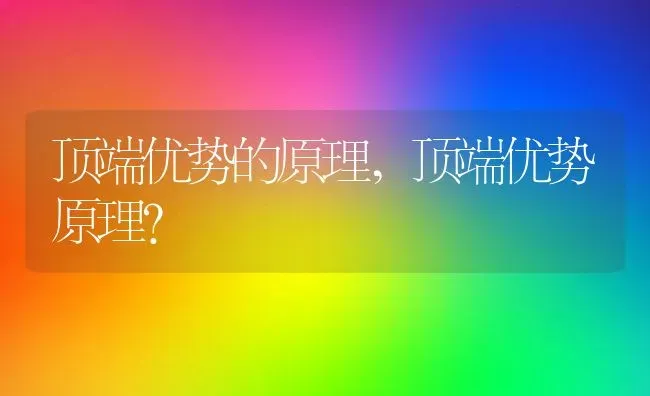 顶端优势的原理,顶端优势原理？ | 养殖科普