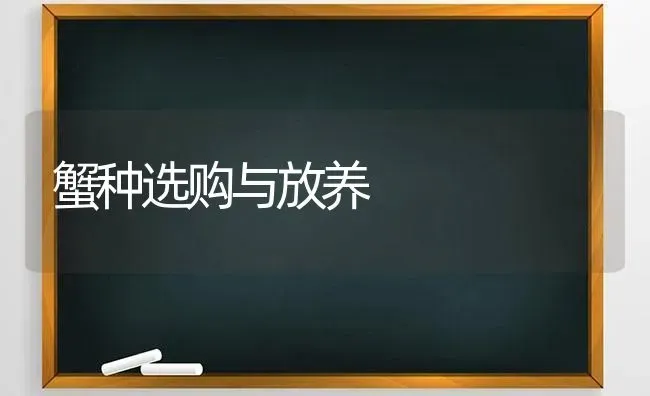 蟹种选购与放养 | 养殖技术大全