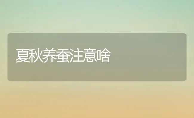 夏秋养蚕注意啥 | 养殖知识