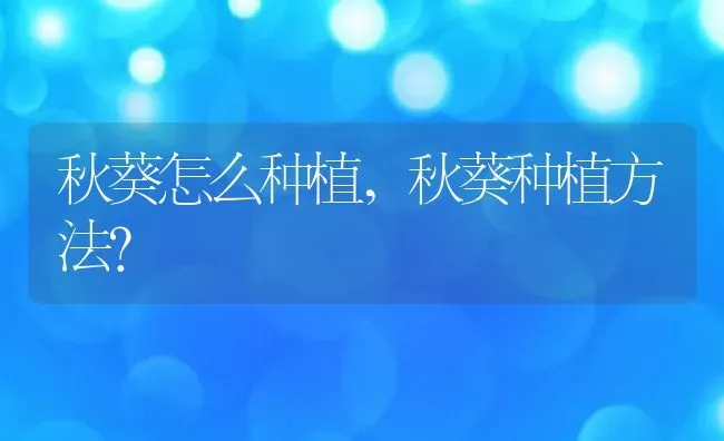 秋葵怎么种植,秋葵种植方法？ | 养殖科普