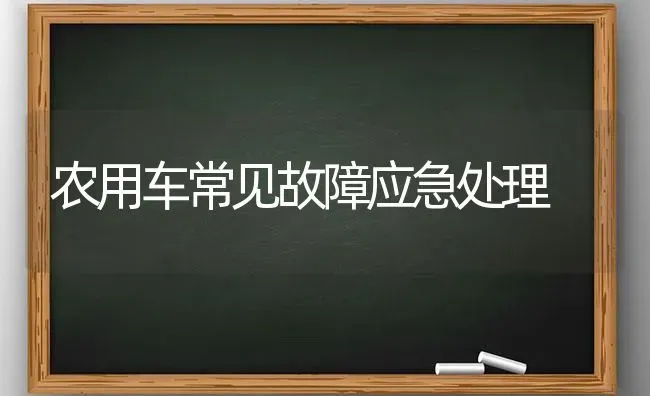 农用车常见故障应急处理 | 养殖知识