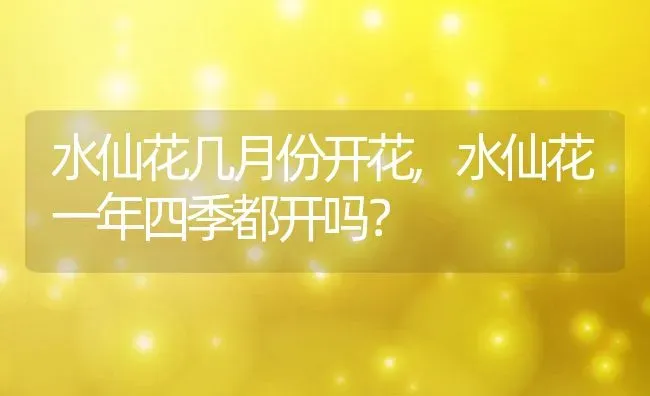 水仙花几月份开花,水仙花一年四季都开吗？ | 养殖学堂