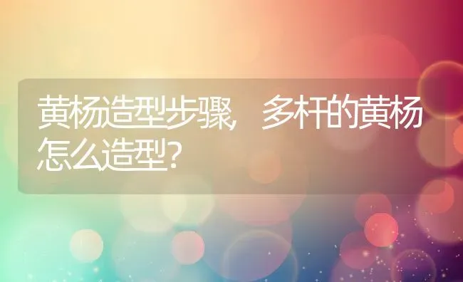 黄杨造型步骤,多杆的黄杨怎么造型？ | 养殖科普