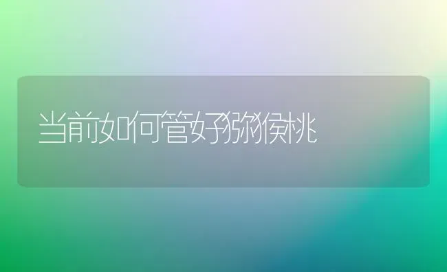 当前如何管好猕猴桃 | 养殖技术大全