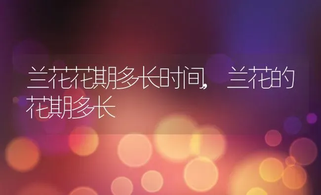 兰花花期多长时间,兰花的花期多长 | 养殖学堂