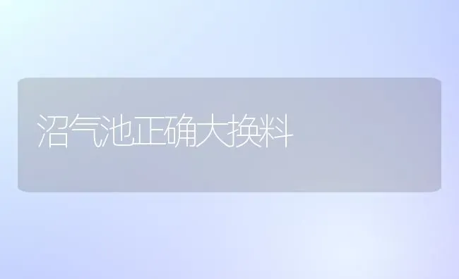 沼气池正确大换料 | 养殖技术大全