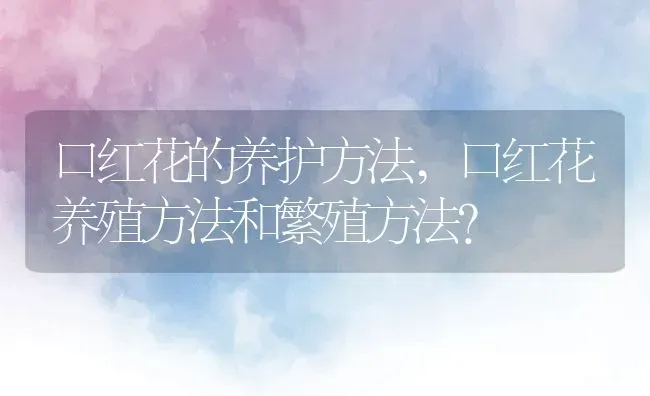 口红花的养护方法,口红花养殖方法和繁殖方法？ | 养殖科普