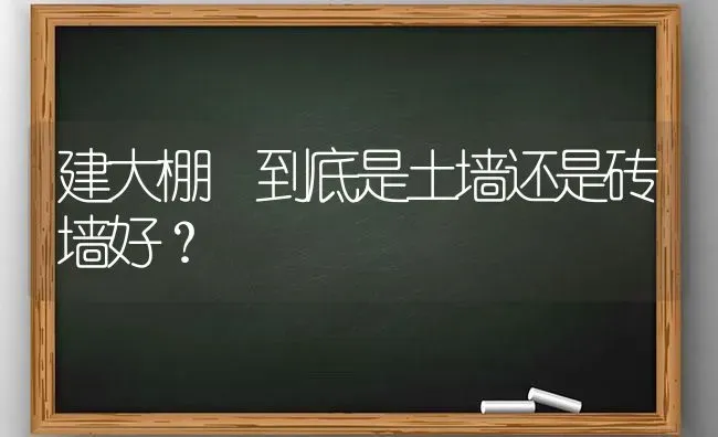 建大棚 到底是土墙还是砖墙好? | 养殖知识