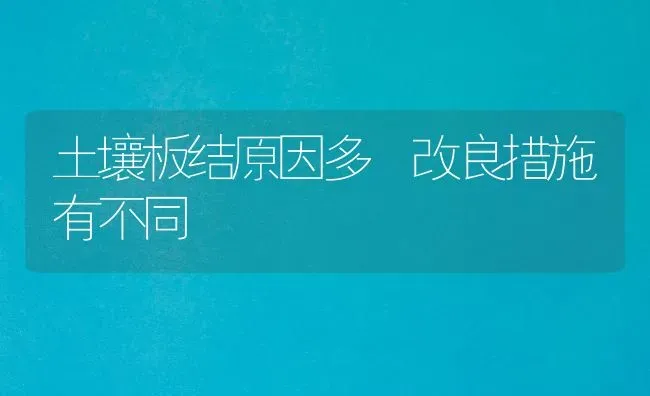 土壤板结原因多　改良措施有不同 | 养殖技术大全