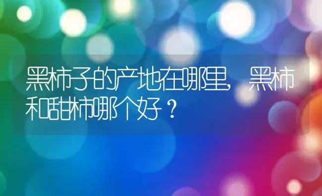 黑柿子的产地在哪里,黑柿和甜柿哪个好？ | 养殖科普