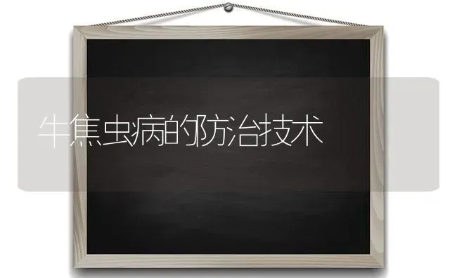 牛焦虫病的防治技术 | 养殖技术大全