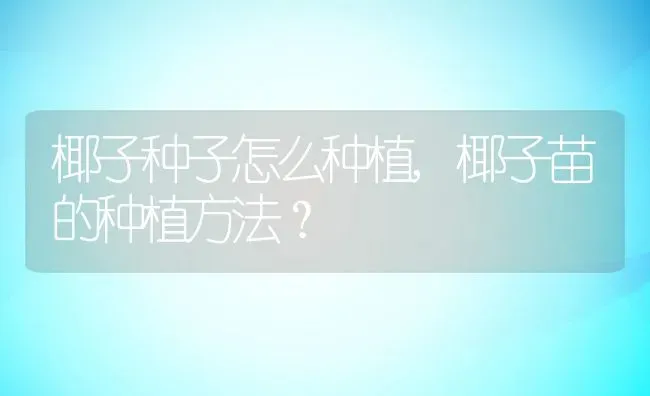 椰子种子怎么种植,椰子苗的种植方法？ | 养殖科普