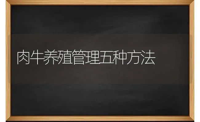 肉牛养殖管理五种方法 | 养殖知识