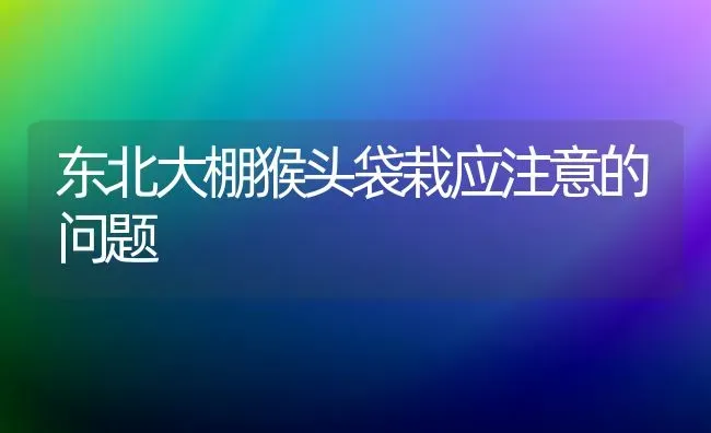 东北大棚猴头袋栽应注意的问题 | 养殖技术大全