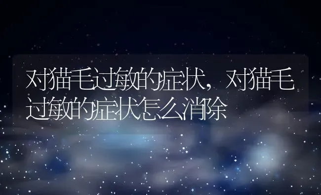 对猫毛过敏的症状,对猫毛过敏的症状怎么消除 | 养殖资料