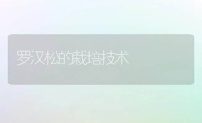 罗汉松的栽培技术 | 养殖技术大全