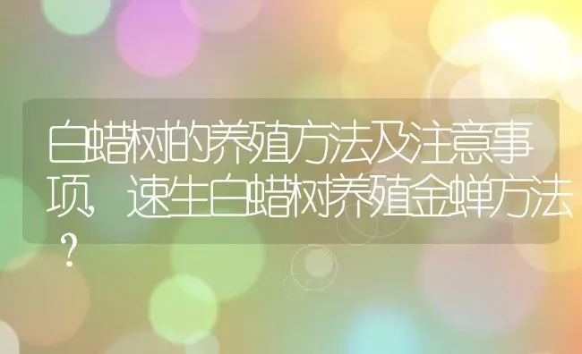 白蜡树的养殖方法及注意事项,速生白蜡树养殖金蝉方法？ | 养殖科普