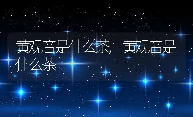 黄观音是什么茶,黄观音是什么茶 | 养殖科普