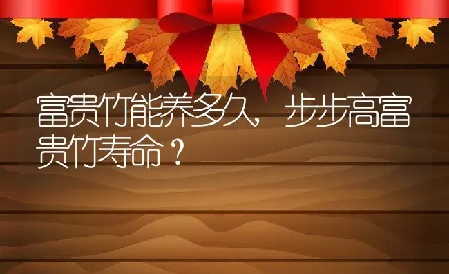 富贵竹能养多久,步步高富贵竹寿命？ | 养殖科普