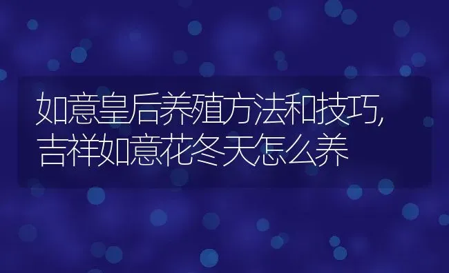 如意皇后养殖方法和技巧,吉祥如意花冬天怎么养 | 养殖学堂