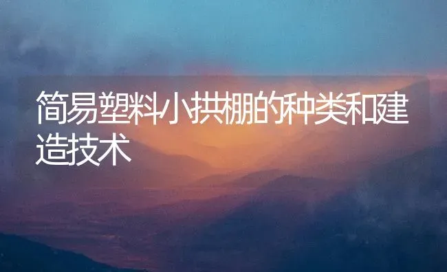 简易塑料小拱棚的种类和建造技术 | 养殖技术大全