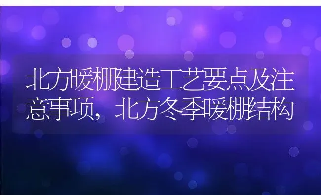 北方暖棚建造工艺要点及注意事项,北方冬季暖棚结构 | 养殖学堂