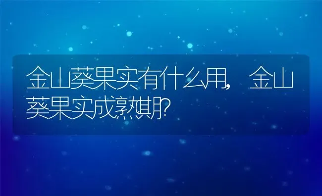 金山葵果实有什么用,金山葵果实成熟期？ | 养殖科普