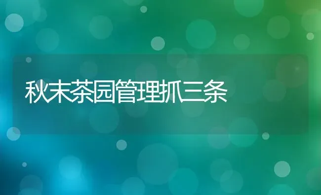 秋末茶园管理抓三条 | 养殖技术大全