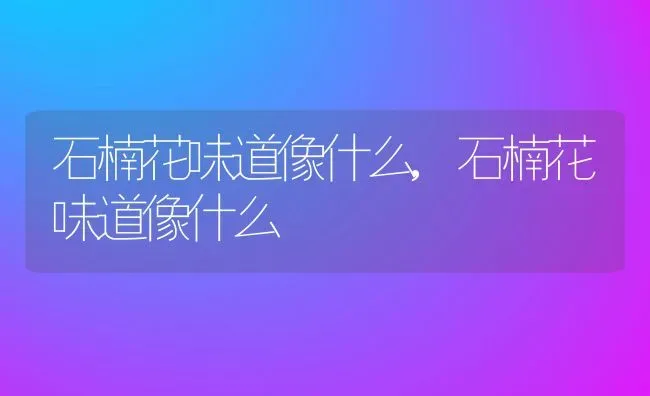 石楠花味道像什么,石楠花味道像什么 | 养殖科普