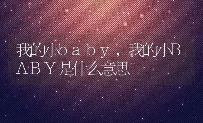 我的小baby,我的小BABY是什么意思 | 养殖资料