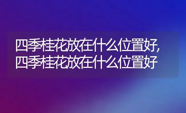 四季桂花放在什么位置好,四季桂花放在什么位置好 | 养殖科普
