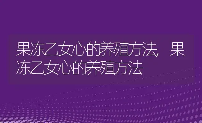 果冻乙女心的养殖方法,果冻乙女心的养殖方法 | 养殖科普
