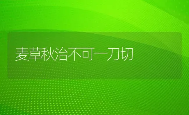 麦草秋治不可一刀切 | 养殖技术大全