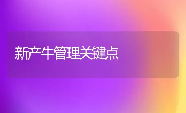 新产牛管理关键点 | 养殖知识