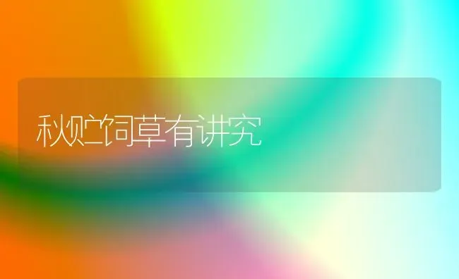 秋贮饲草有讲究 | 养殖知识