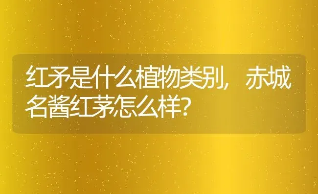 红矛是什么植物类别,赤城名酱红茅怎么样？ | 养殖科普