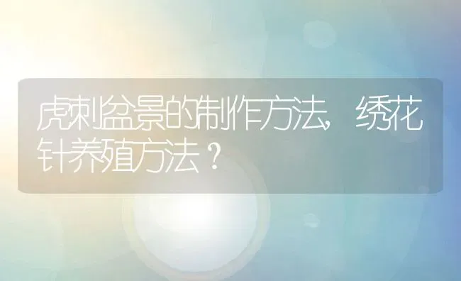 虎刺盆景的制作方法,绣花针养殖方法？ | 养殖科普